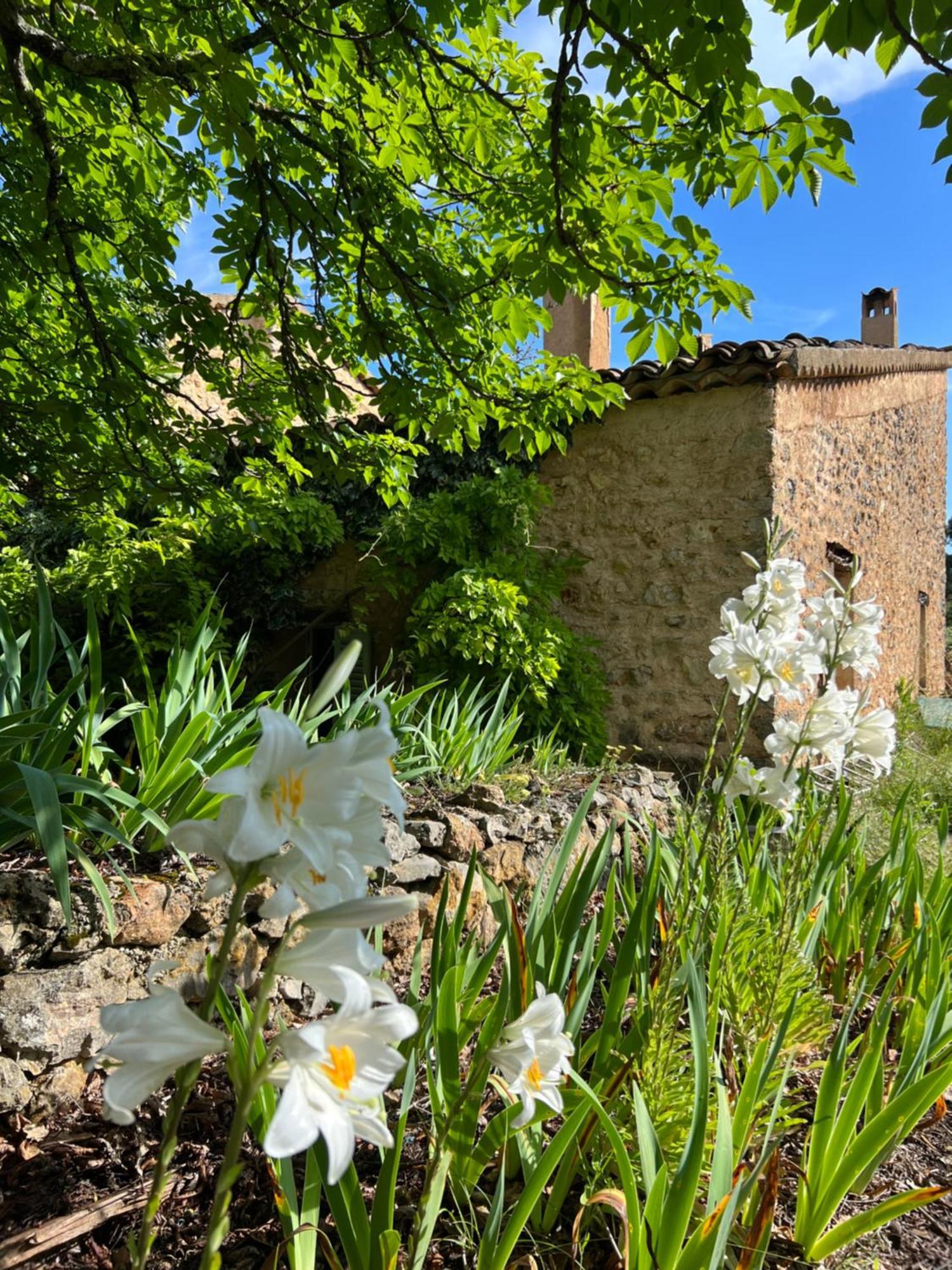 Charmant Appartement Independant Au Sein D'Un Mas Provencal Aups Bagian luar foto